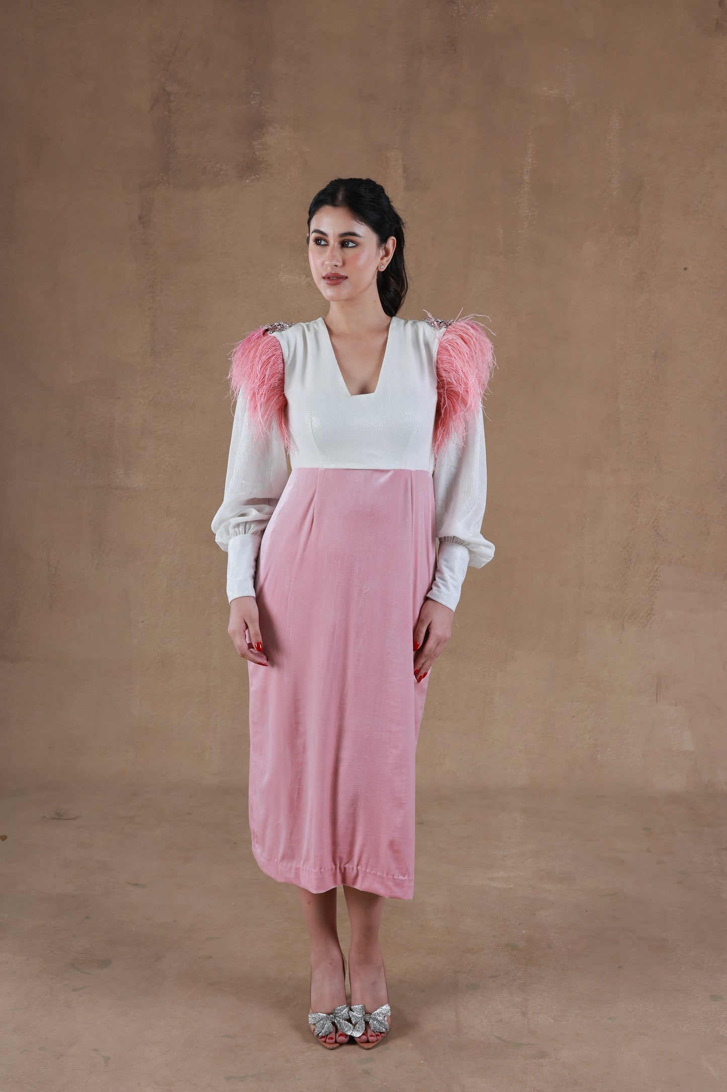 Vintage Feathered Blush Dress